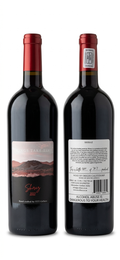 2022 Shiraz